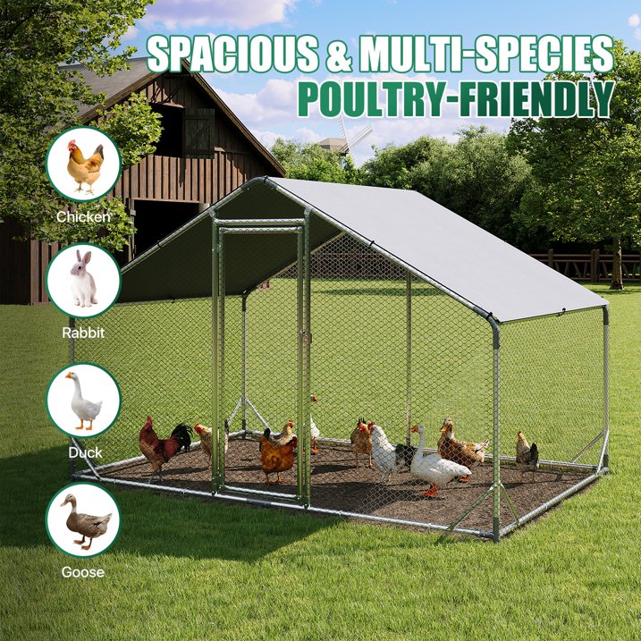 Clouddwell Large Metal Chicken Coop Duck House with Waterproof Spire Roof, Outdoor Poultry Walk-in Run Cage - 9.8' L x6.6' W x 6.4' H