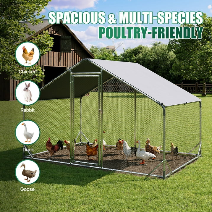 Clouddwell 65 Sq Ft Large Walk-In Chicken Coop with Waterproof Spire Roof - Heavy-Duty Metal Outdoor Poultry Run & Duck House for 8-10 Chickens