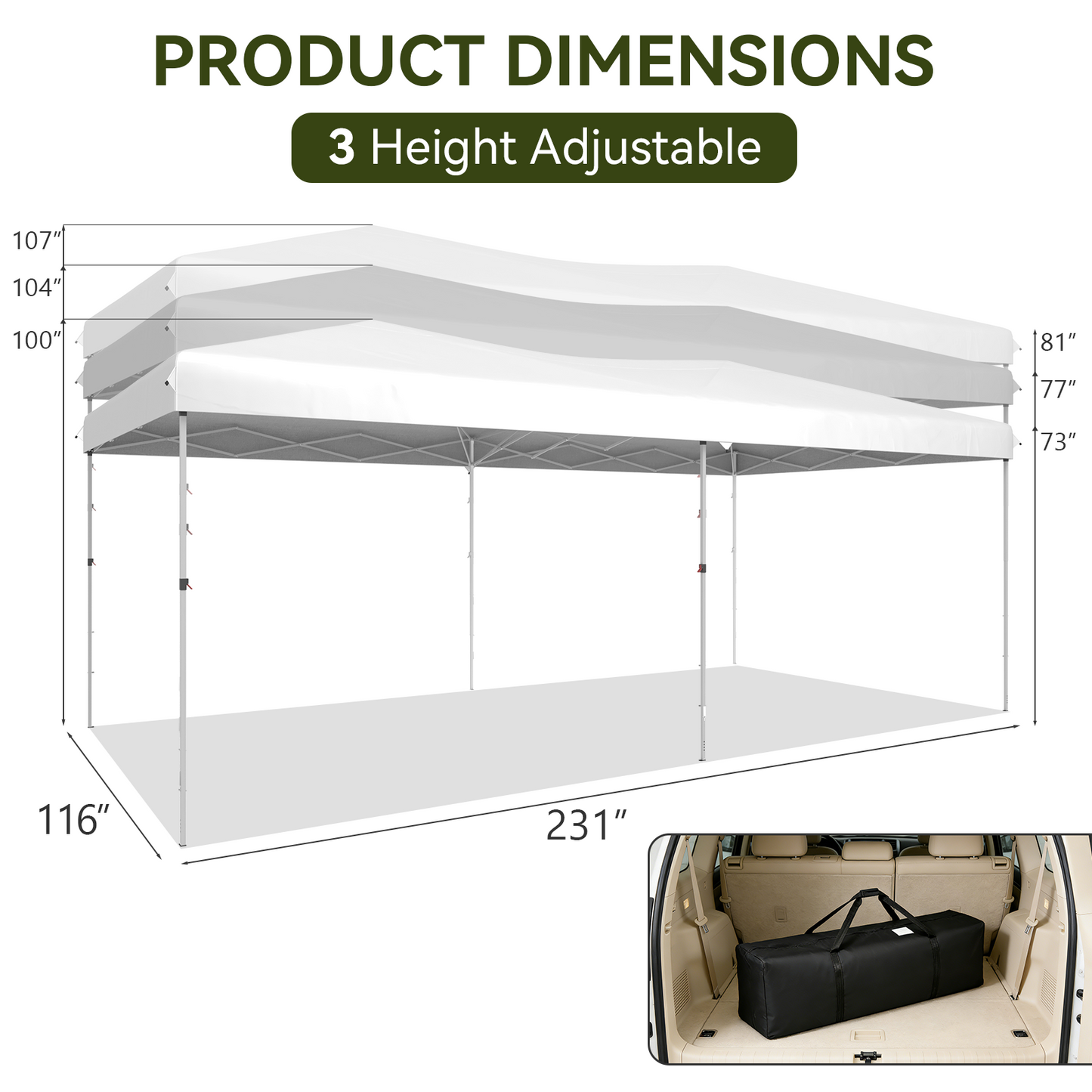 Aoxun 10x20 Pop Up Canopy Tent with 6 Removable Sidewalls, Instant Setup Party Tent Waterproof Outdoor Canopy Featuring 3 Adjustable Heights, Portable Shelter for Parties, Weddings, Commercial